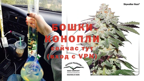 мяу мяу мука Беломорск