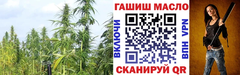 купить   Катайск  гидра ссылка  Дистиллят ТГК концентрат 