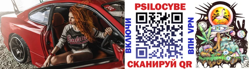 Псилоцибиновые грибы Cubensis  Катайск 